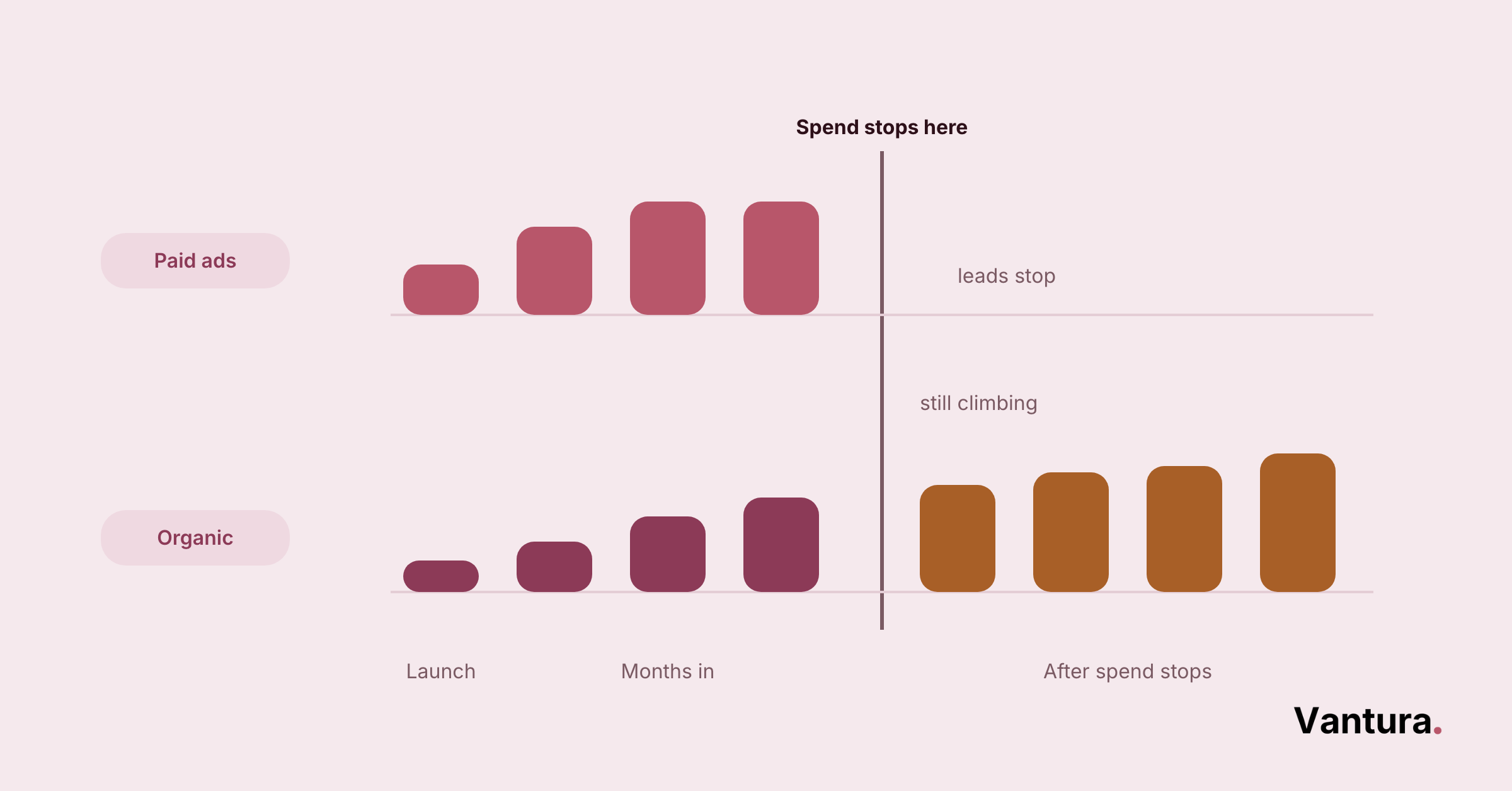 Two-row bar chart comparing paid ads and organic leads before and after a spend-stop line, marked leads stop vs still climbing.